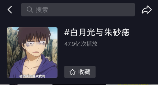 网络红歌2021火爆歌曲(图5)